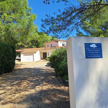 Studio D'Hotes Les Libellules Castelnau-le-Lez Εξωτερικό φωτογραφία