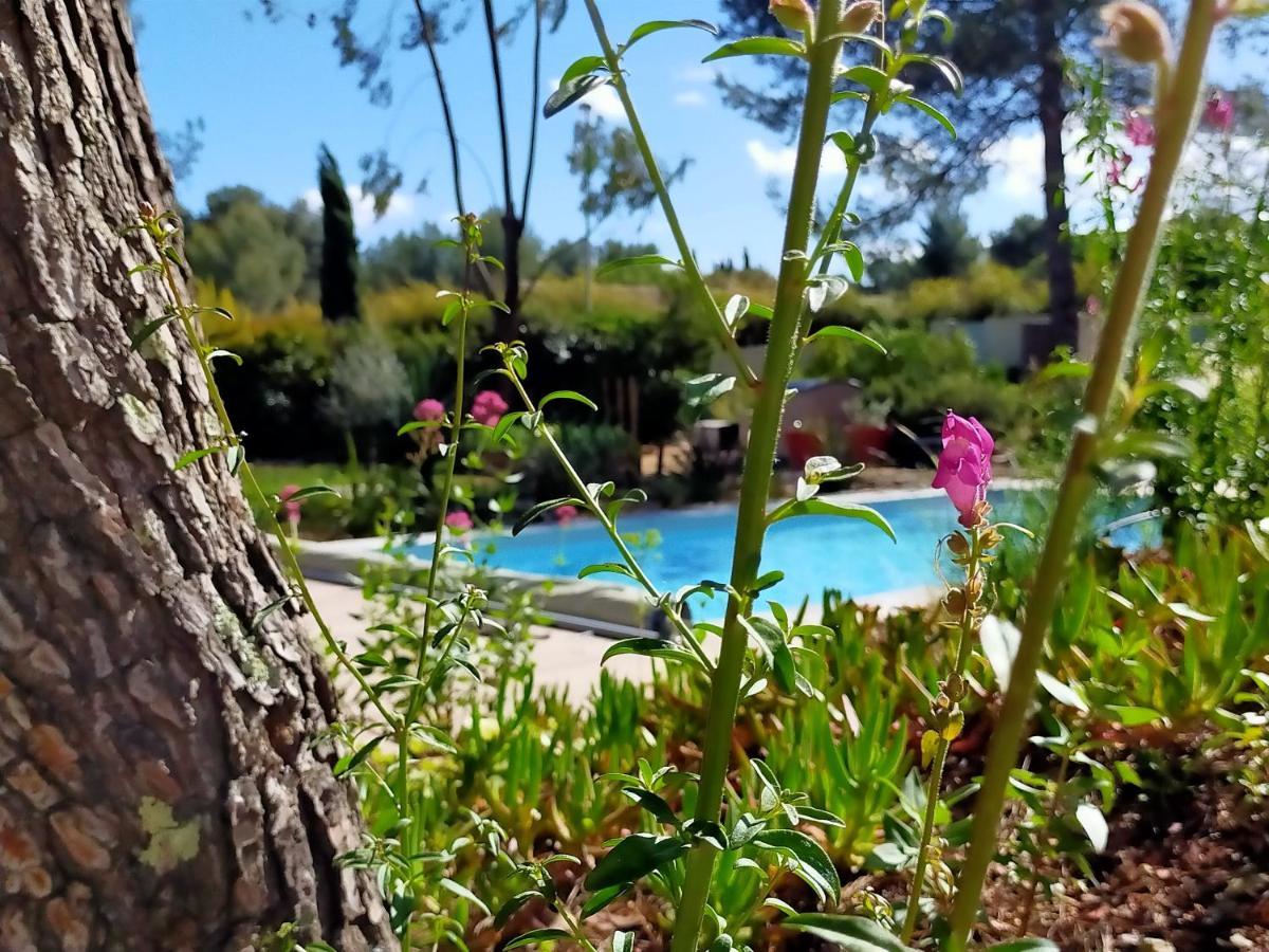 Studio D'Hotes Les Libellules Castelnau-le-Lez Εξωτερικό φωτογραφία
